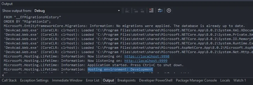 Current hosting environment in console