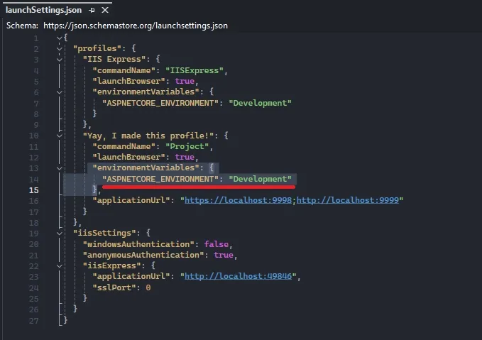 Launchsettings.json file